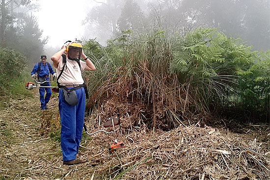 Los 51 parados contratados durante cinco meses realizan diferentes proyectos en el municipio