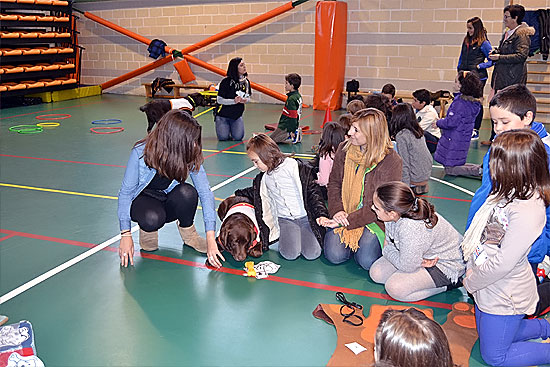 PielagosPequejornada