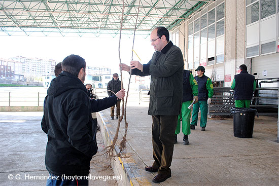 El Ayuntamiento reparte 2.410 ejemplares en la Campaña del Árbol, que anima a los vecinos a mejorar la biodiversidad EntregaArboles
