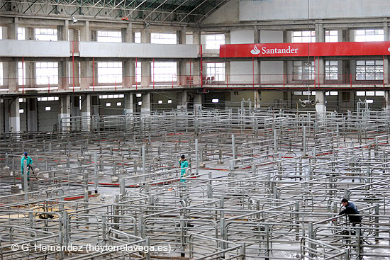 El Ayuntamiento contratará durante seis meses a 104 personas que lleven más de un año en paro y sin prestación por desempleo