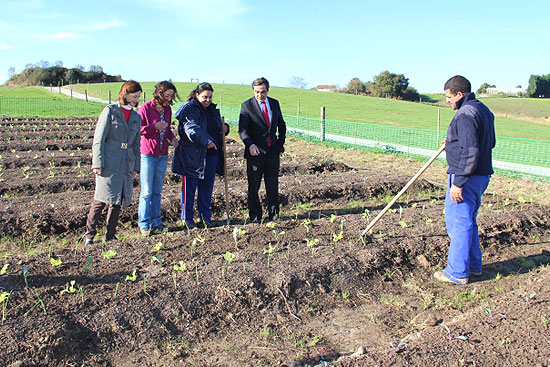 El PP reclama que se amplíe el programa de huertos solidarios aprovechando los fondos del Plan Extraordinario de Empleo PPhuertos