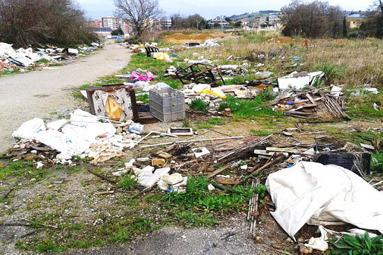 Basuras, cadáveres de animales y perros vagabundos convierten el vertedero de El Valle en una amenaza para la salud pública