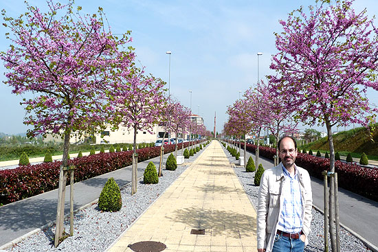 La Concejalía de Medio Ambiente anima a los ciudadanos a disfrutar del Bulevar Ronda como zona de ocio y ejercicio