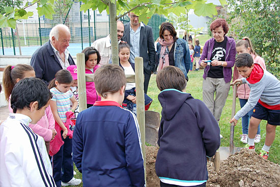 BoleraSierraPlantacion