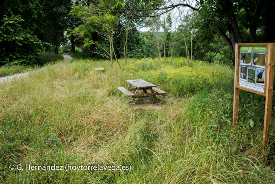 CorredorVerdeSuciedad01