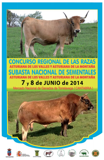 FeriaRazaAsturiana2014