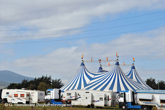 CircoCarpa