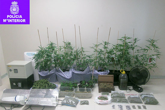 PoliciaMarihuana2310