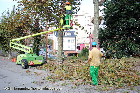 El Ayuntamiento realiza trabajos de poda en las zonas de más arbolado de la ciudad SercaPoda03