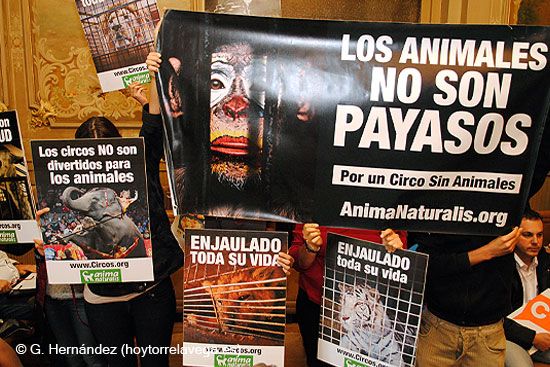 PlenoAnimales02