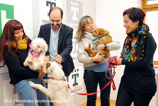 PsoeUrracaRefugioCanino