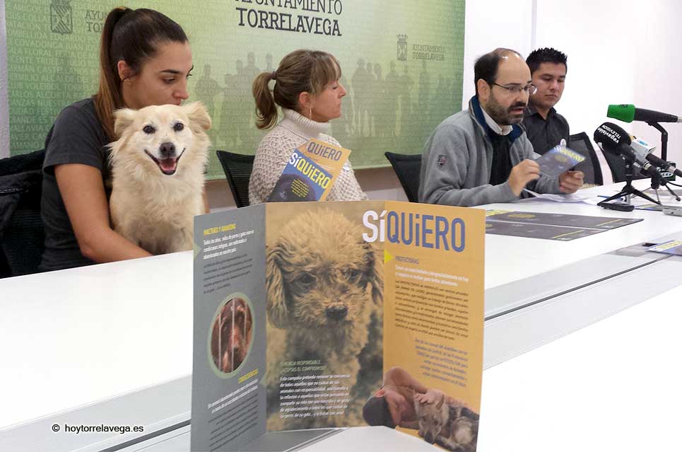 PSOEUrracaRefugioCanino02