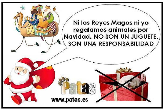 PatasCampanaNavidad