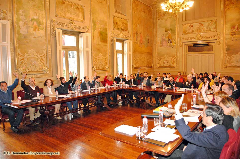 El Pleno da el visto bueno para que el Grupo Alsa asuma la gestión del Torrebus PlenoVotacion021214