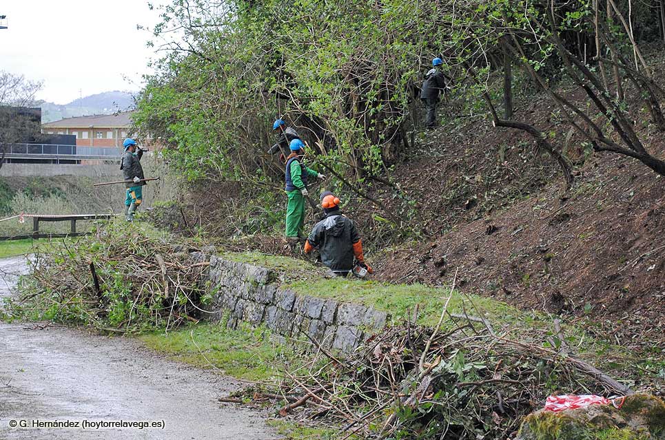 ViescaTrabajadores01