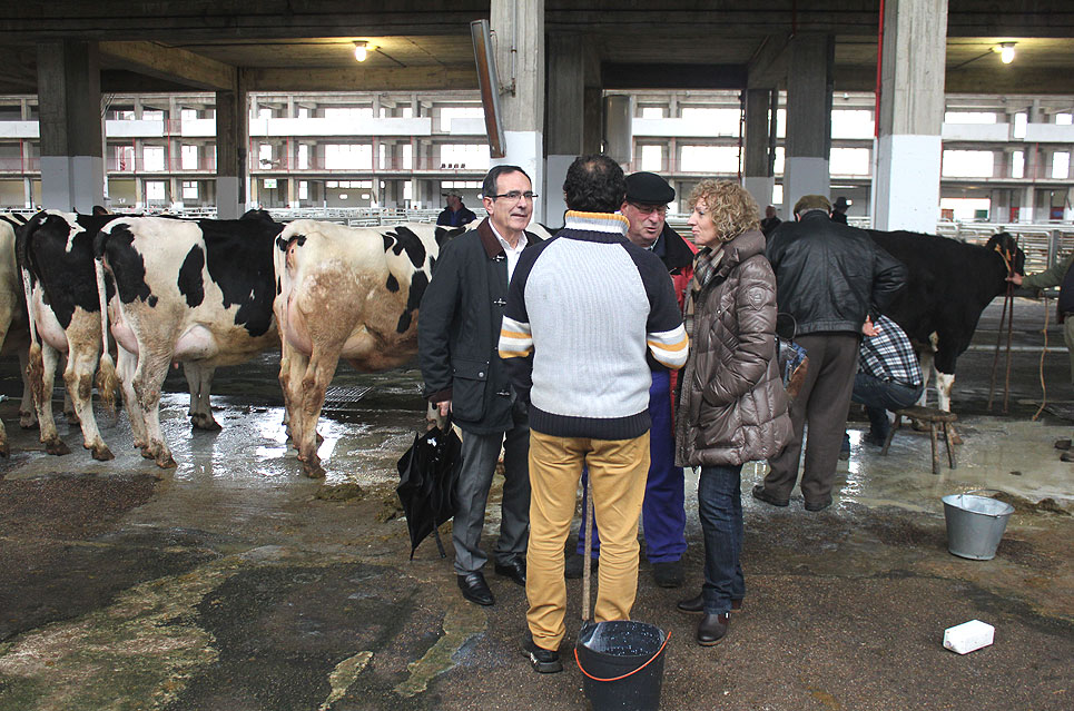 PSOEViaderoTezanosFerial