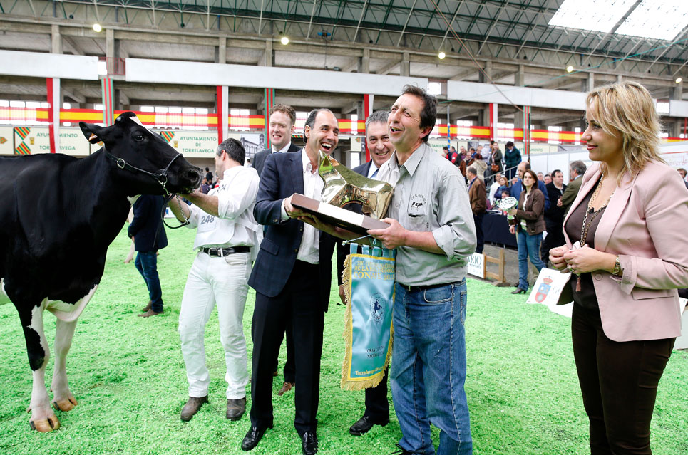 La ganadería navarra Planillo y la vaca balear Algendar Goldwyn Jara, premios del Concurso de Primavera CONAFE CONAFE2015Diego