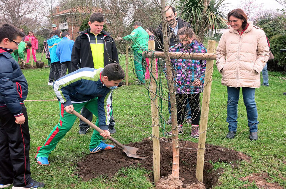 alcaldesaplantararboles2015