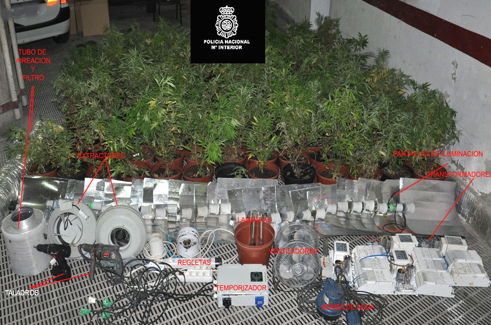 PoliciaMarihuanaCArgumosa