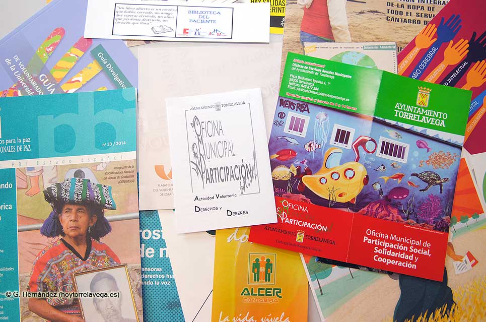 ServiciosSociales04