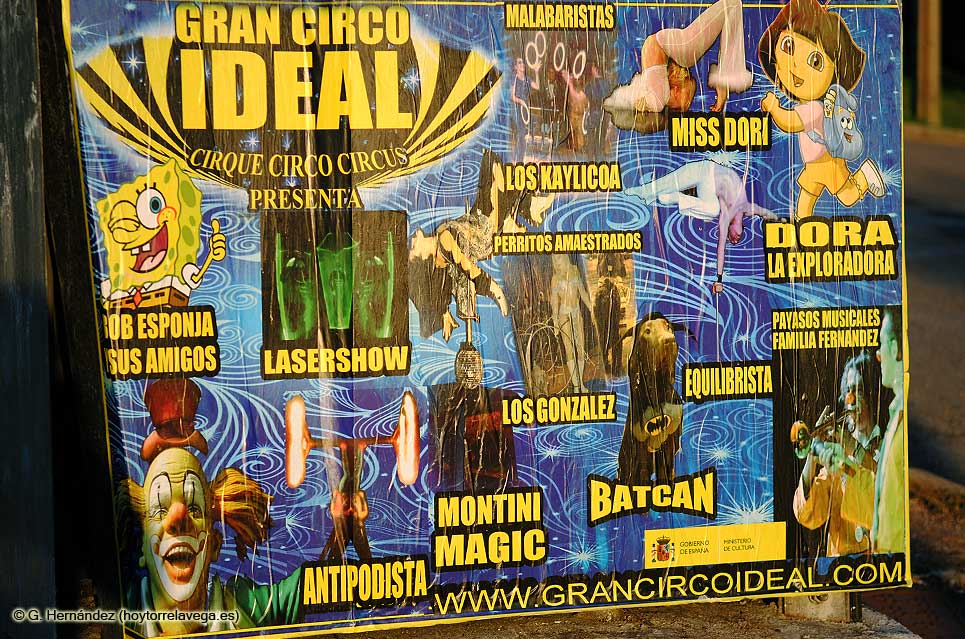 ACPT pide sanciones para un circo instalado en la ciudad que exhibe perros disfrazados a los que se obliga a realizar piruetas CircoConAnimales