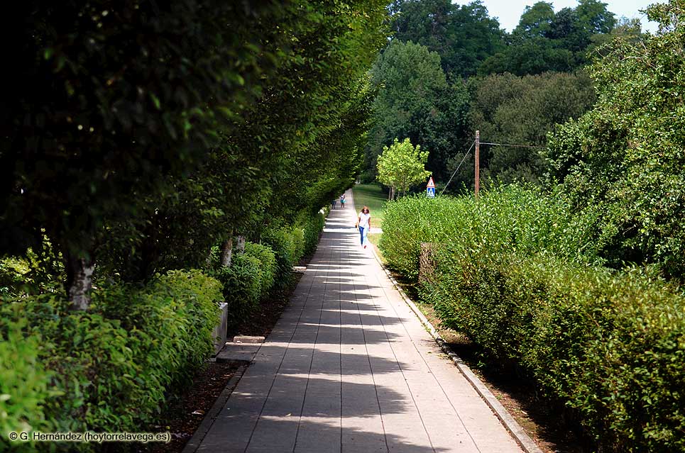 Detenida por inventarse un robo para conseguir un móvil nuevo de la aseguradora BoulevardRonda01