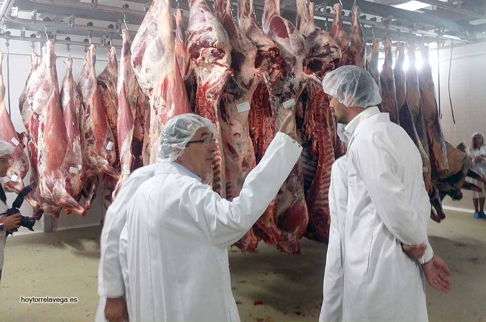 ViaderoEstradaMatadero