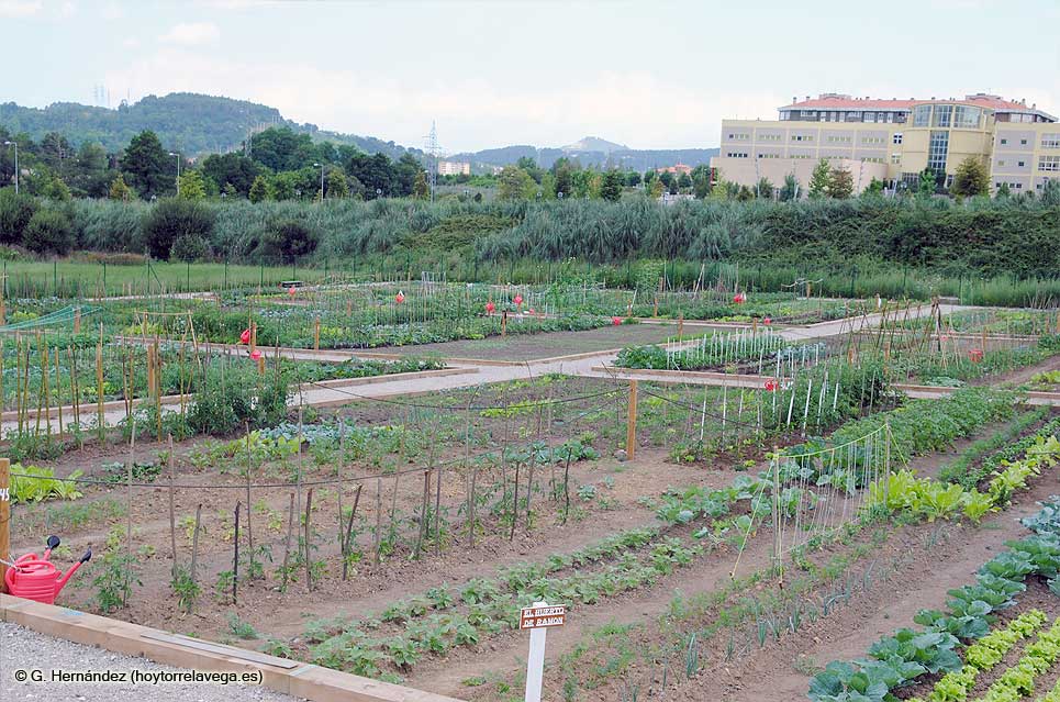 HuertosUrbanos03