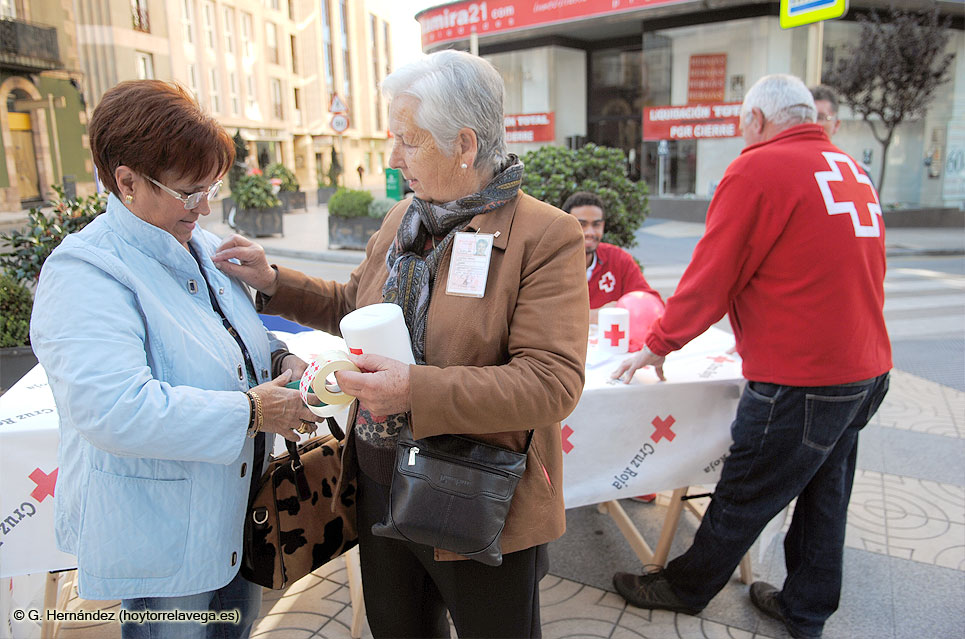 CruzRojaBanderita04