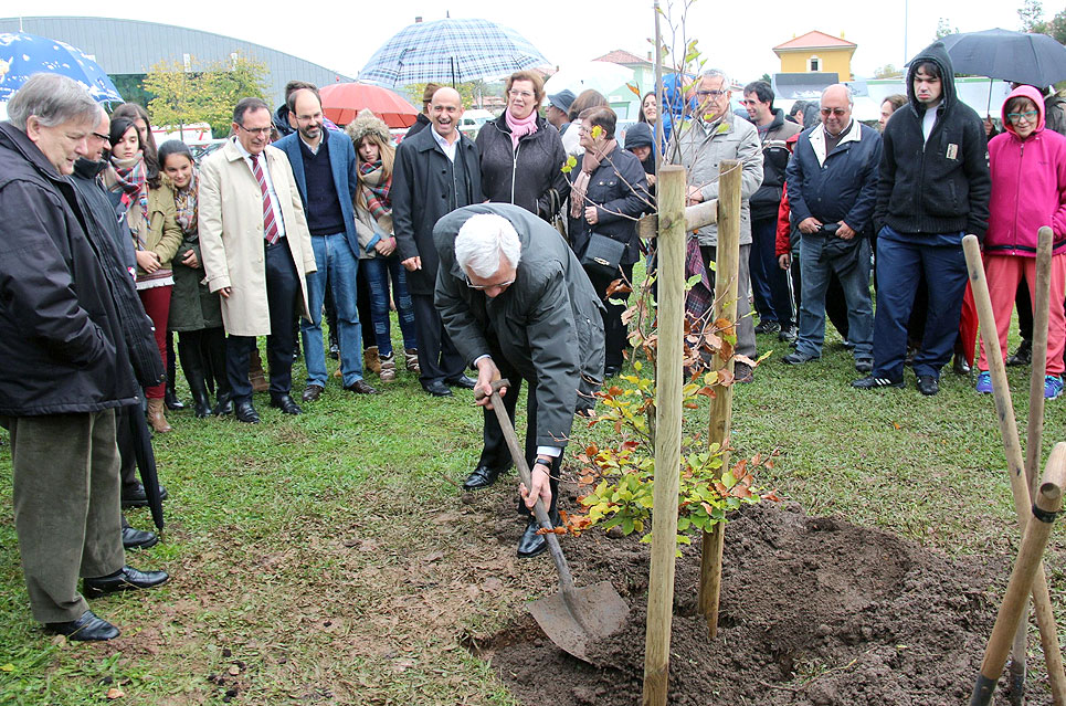 TorrelavegaSolidaria2015