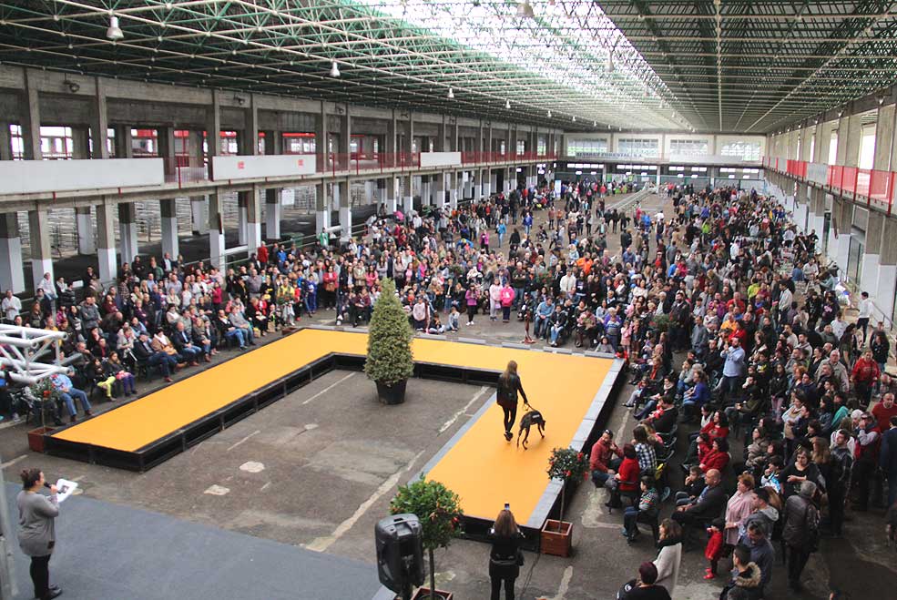 FeriaAdopcionResponsableTorrelavega