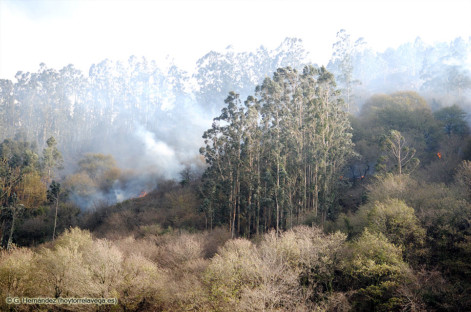 IncendioViernoles03