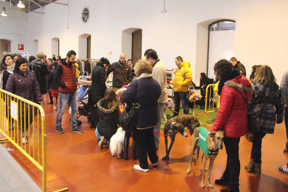 El tejido asociativo comparte sus actividades en la Feria “¿Participamos o Invernamos?” Feriainvernamos03