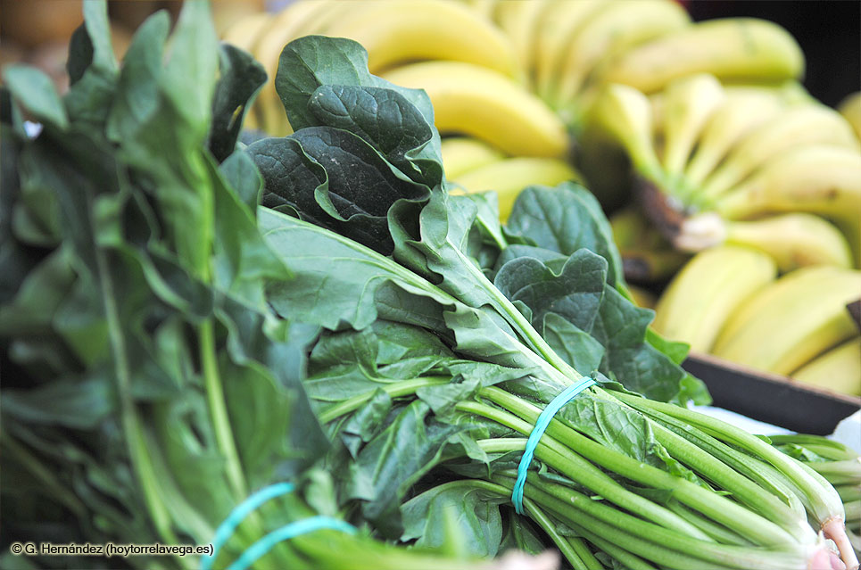 Verduras01