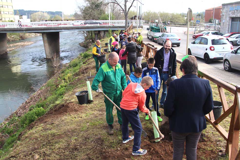 Escolares del Menéndez Pidal y el Mies de Vega plantan árboles junto a las asociaciones del Barrio Covadonga y Torres PSOEUrracaarbolestorres