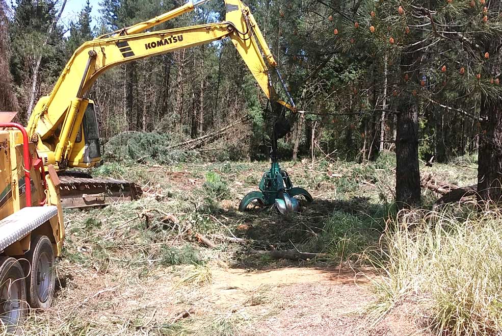 EAC reclama la paralización inmediata de la tala en la balsa minera de Torres por el peligro de contaminación TalaBalsaMina