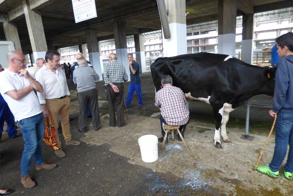 Elecciones 26-J: Félix Álvarez (C’s) defiende un precio justo para la leche y el apoyo a sus productores CiudadanosFelixAlvarezFeria