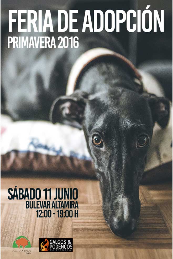 FeriaAdopcionGalgos
