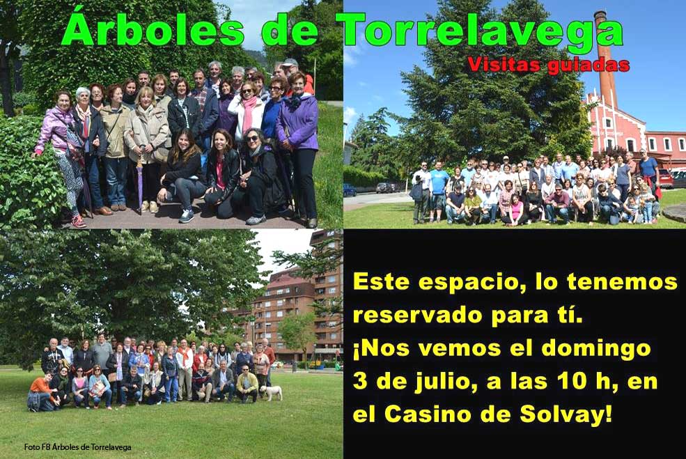 VisitasArboles