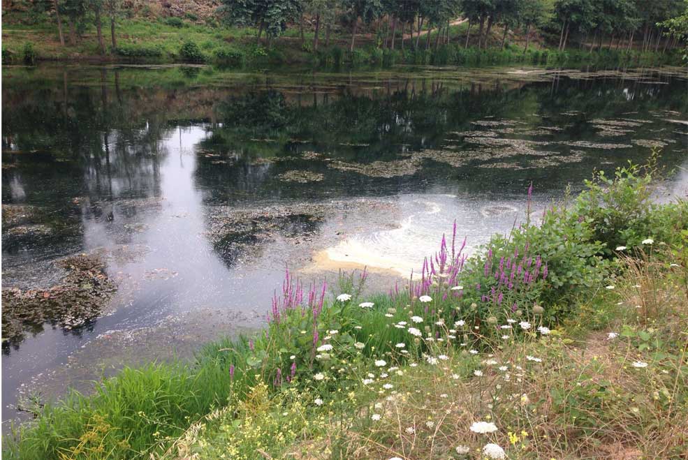 SniaceVertidoJulio2016