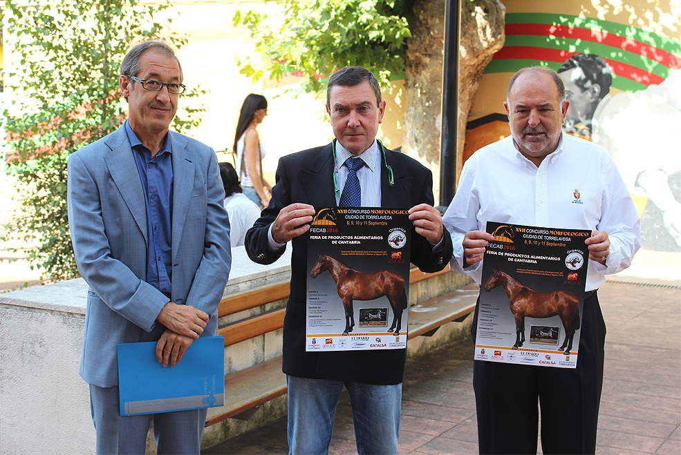 ConcursoMorfolgicoCaballos