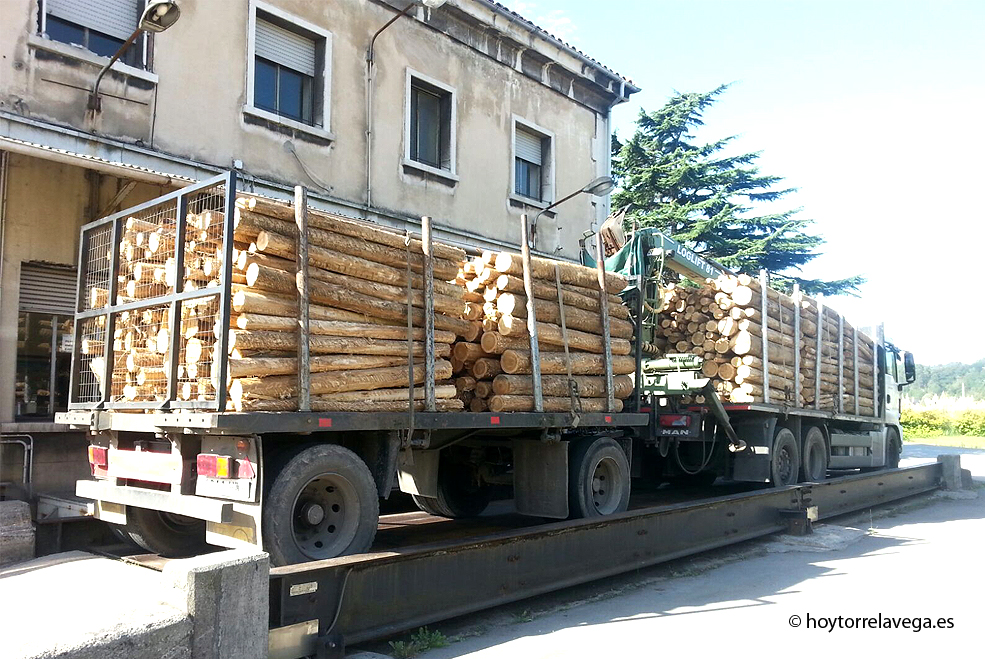 El SEPE acepta que Sniace pague la reposición del desempleo de los 52 readmitidos y restablecer sus ayudas SniaceCamionMadera