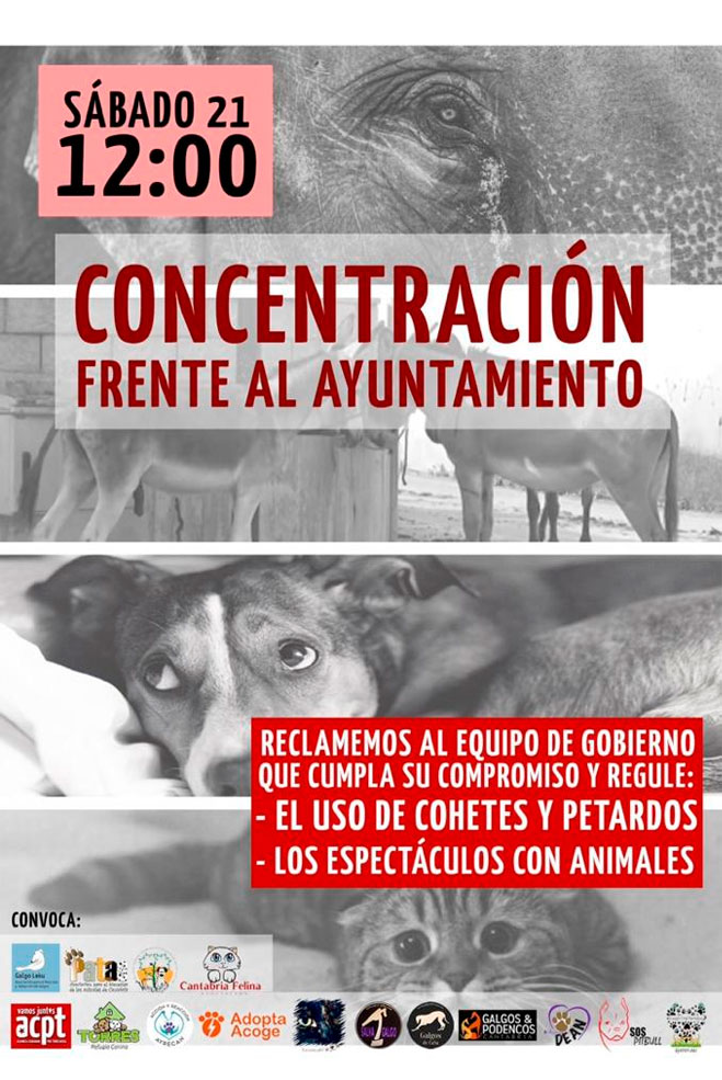 ConcentracionAnimales210117