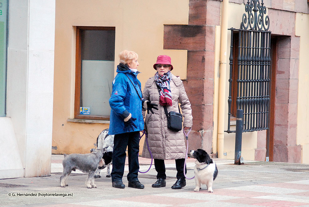 Perros06