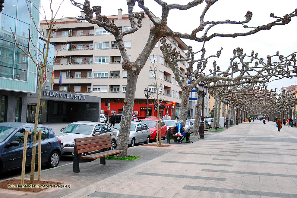 AvenidaEspanaArboles