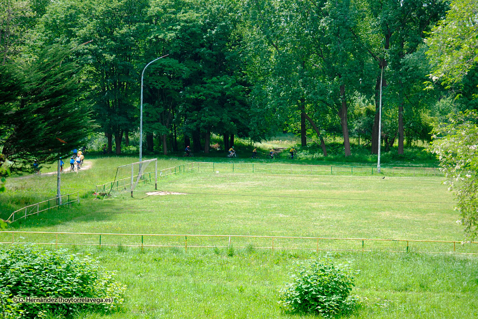 Patatal