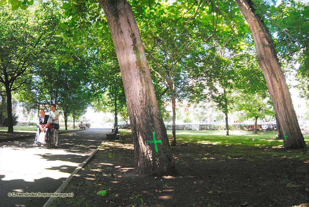 ParqueManuelBarquinArboles02