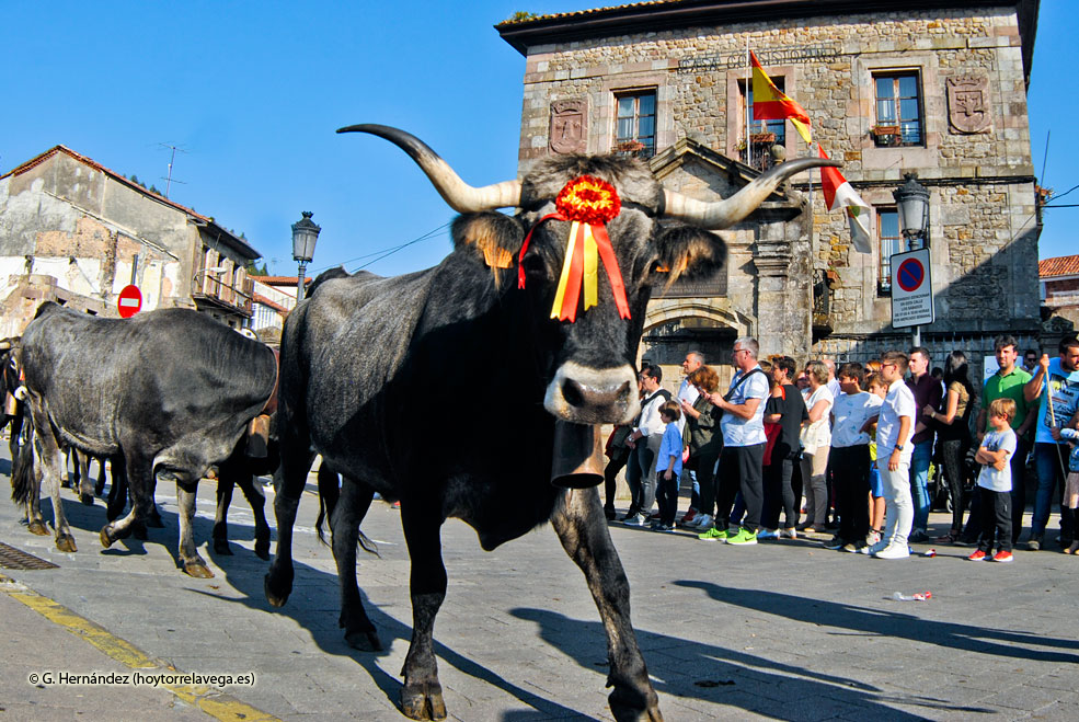 CabezonPasaTudanca2017