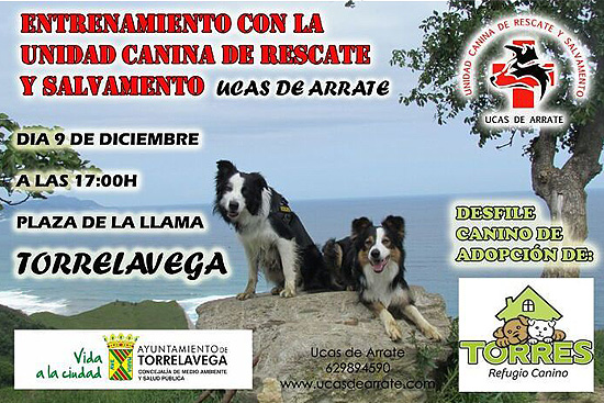 Demostración de la Unidad Canina de Rescate y Salvamento de Arrate en la búsqueda de personas desaparecidas DemostracionCanina