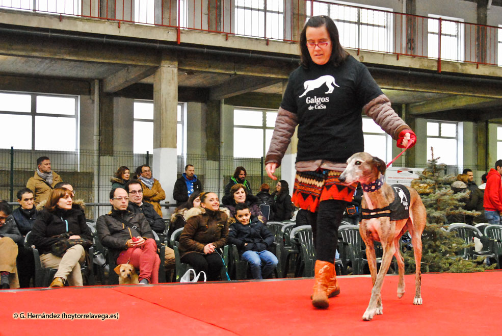 FeriaAdopcionPerros2017Desfile